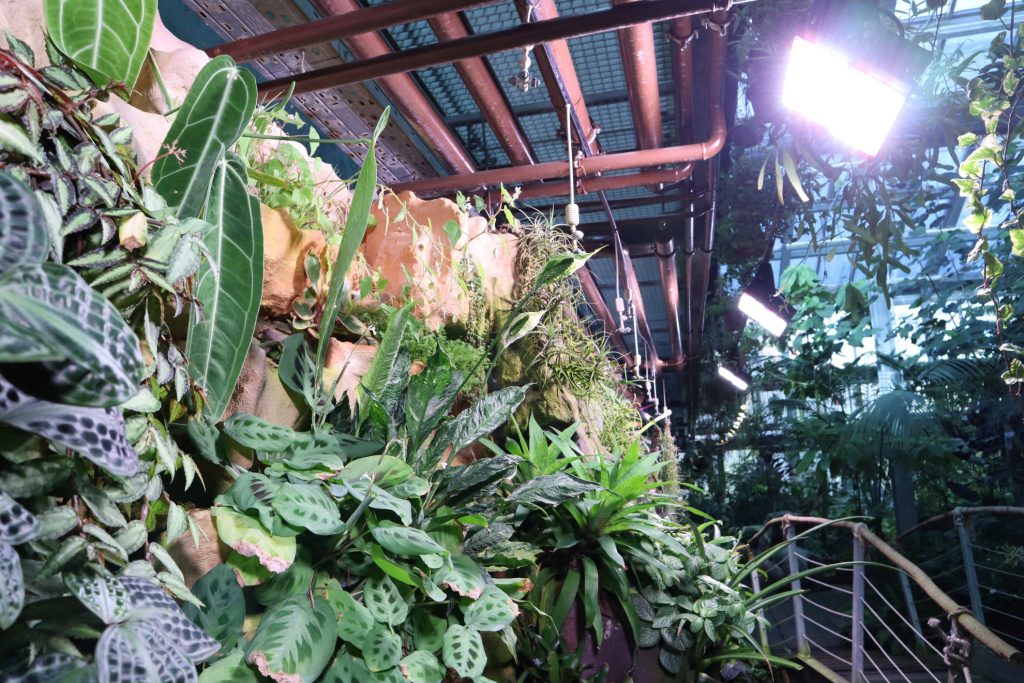 LED üvegház zödfal világítás