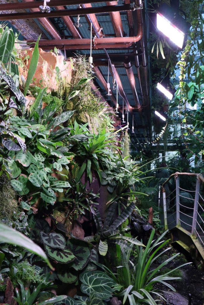 novenyfal vilagitas led black sparkle ledium - Black Sparkle®