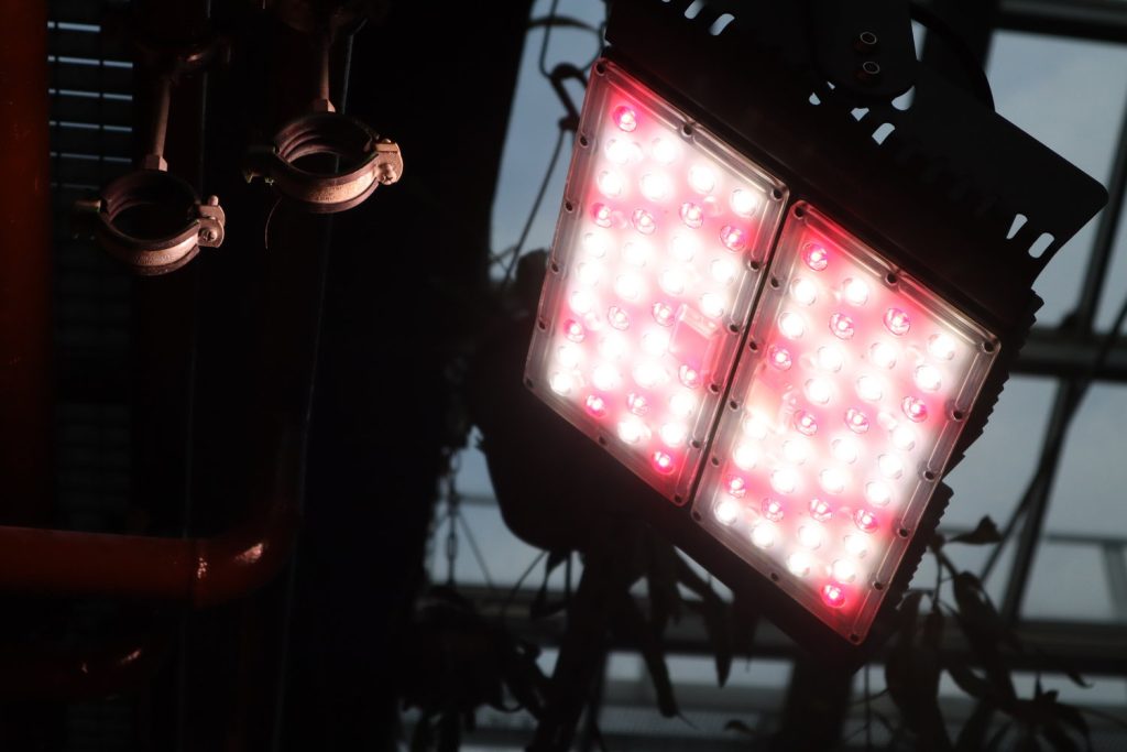 Ledium Black Sparkle WR növényvilágító LED lámpa