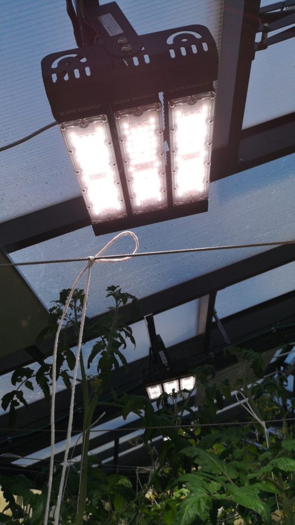 teljes spektrum novenynevelo lampa - Black Sparkle®