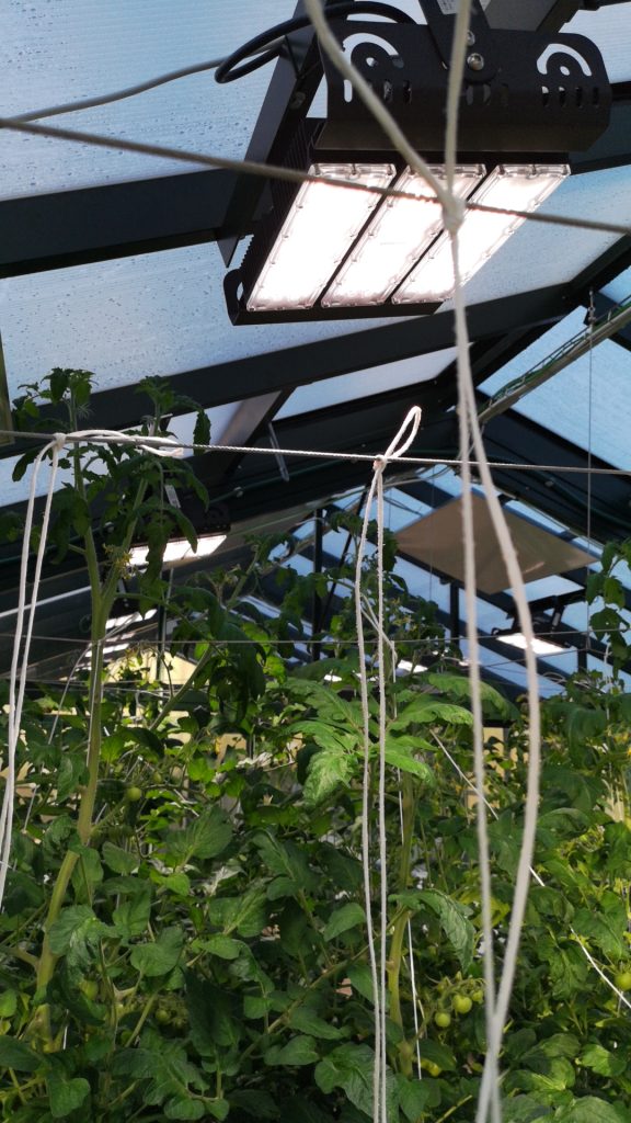 teljes spektrumu led lampa novenyvilagitas - Black Sparkle®