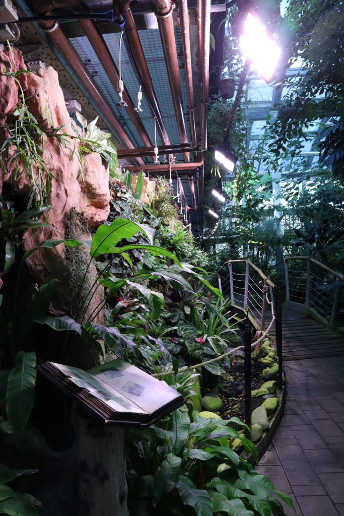 LED zöldfal világítás Ledium Black Sparkle LED lámpákkal