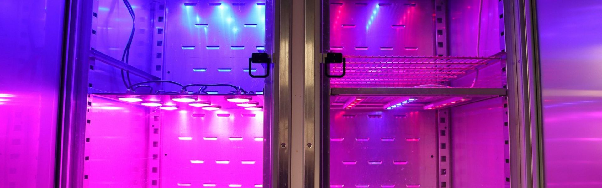 0-pol-eko-klimakamra-egyedi-led-vilagito-panel-ledium