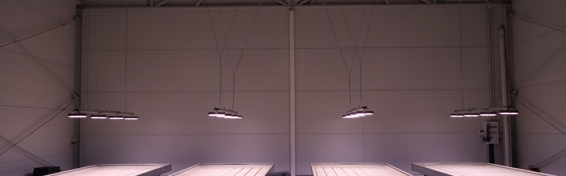 1-chili-paprika-palantanevelo-led-lampa-vilagitas