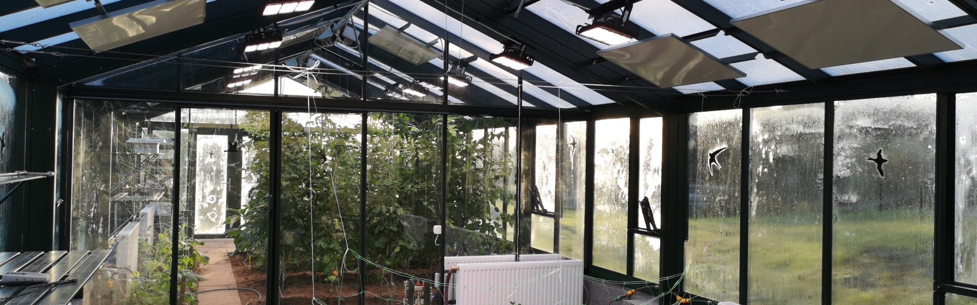 Palántanevelő LED lámpa - üvegházba, IP65 védettséggel