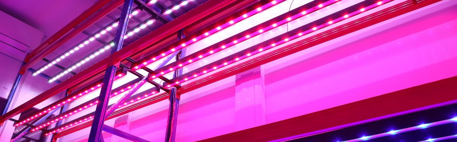 Ledium vertikális farm LED vezérlés